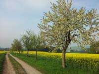 Ludolfshausen-und-Umgebung-053