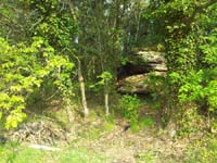 Ludolfshausen-und-Umgebung-054