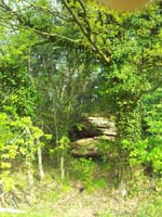 Ludolfshausen-und-Umgebung-055