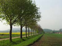 Ludolfshausen-und-Umgebung-057