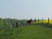 Ludolfshausen-und-Umgebung-060