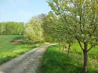 Ludolfshausen-und-Umgebung-061