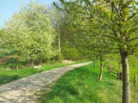 Ludolfshausen-und-Umgebung-062