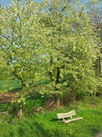 Ludolfshausen-und-Umgebung-063