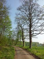 Ludolfshausen-und-Umgebung-066