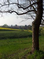 Ludolfshausen-und-Umgebung-069