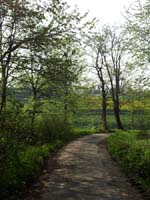 Ludolfshausen-und-Umgebung-070