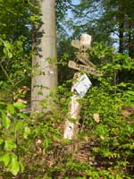 Ludolfshausen-und-Umgebung-071