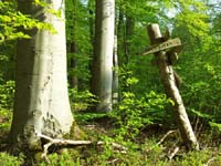 Ludolfshausen-und-Umgebung-073