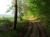 Ludolfshausen-und-Umgebung-074