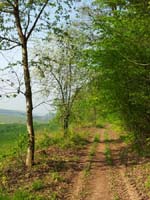 Ludolfshausen-und-Umgebung-076