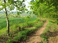 Ludolfshausen-und-Umgebung-077