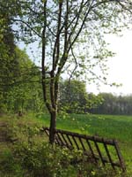 Ludolfshausen-und-Umgebung-078