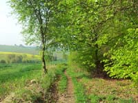 Ludolfshausen-und-Umgebung-079