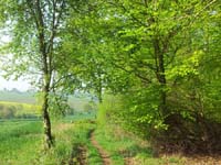 Ludolfshausen-und-Umgebung-080