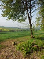 Ludolfshausen-und-Umgebung-081