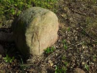 Ludolfshausen-und-Umgebung-083