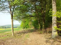 Ludolfshausen-und-Umgebung-084