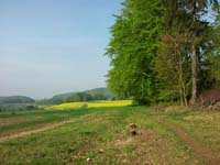 Ludolfshausen-und-Umgebung-085