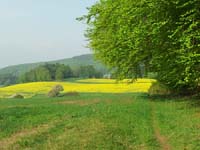 Ludolfshausen-und-Umgebung-086