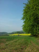 Ludolfshausen-und-Umgebung-087