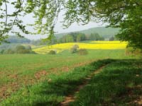 Ludolfshausen-und-Umgebung-090