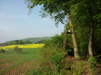 Ludolfshausen-und-Umgebung-092