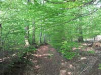 Ludolfshausen-und-Umgebung-093