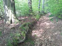 Ludolfshausen-und-Umgebung-094