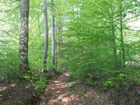 Ludolfshausen-und-Umgebung-095