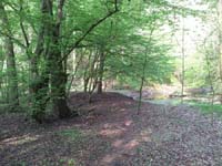 Ludolfshausen-und-Umgebung-096