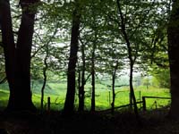 Ludolfshausen-und-Umgebung-097