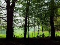 Ludolfshausen-und-Umgebung-098