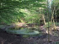 Ludolfshausen-und-Umgebung-099