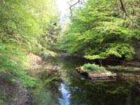 Ludolfshausen-und-Umgebung-101