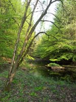 Ludolfshausen-und-Umgebung-102