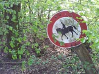 Ludolfshausen-und-Umgebung-103