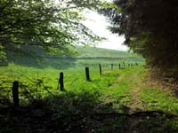 Ludolfshausen-und-Umgebung-104