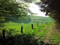 Ludolfshausen-und-Umgebung-105