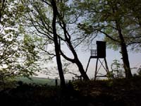 Ludolfshausen-und-Umgebung-106