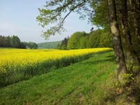 Ludolfshausen-und-Umgebung-112