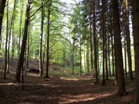 Ludolfshausen-und-Umgebung-113