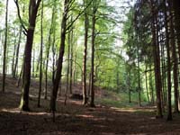 Ludolfshausen-und-Umgebung-114