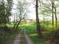 Ludolfshausen-und-Umgebung-115