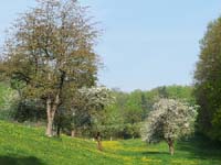 Ludolfshausen-und-Umgebung-117