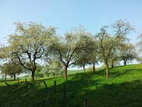 Ludolfshausen-und-Umgebung-118