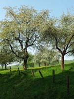 Ludolfshausen-und-Umgebung-119