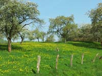 Ludolfshausen-und-Umgebung-120