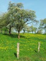 Ludolfshausen-und-Umgebung-121