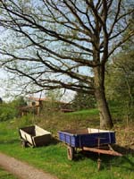 Ludolfshausen-und-Umgebung-122